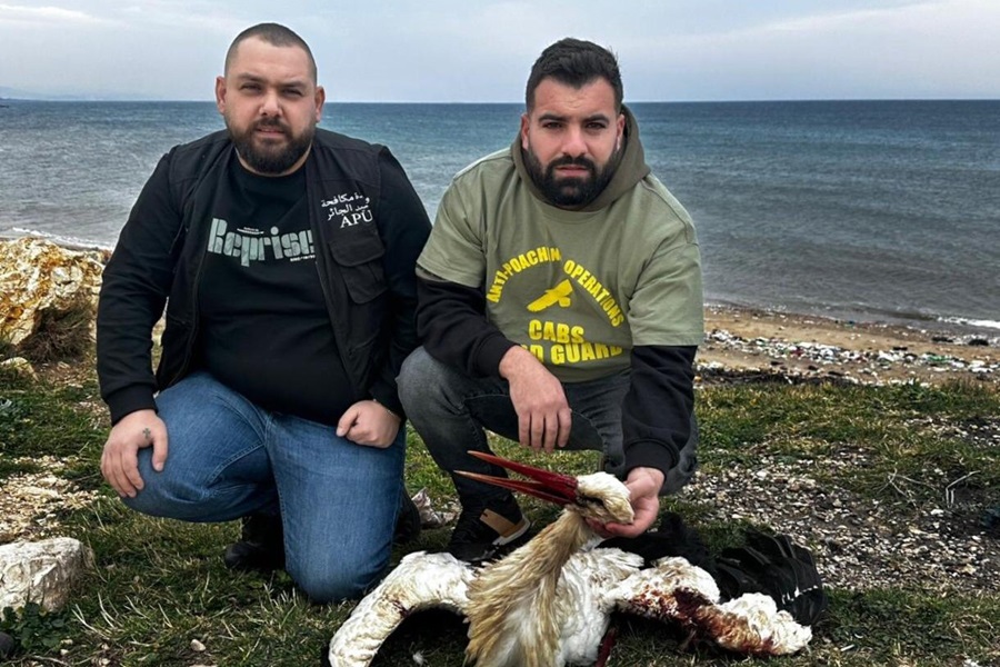Komitee-Aktive mit frisch geschossenem Weißstorch bei Arida im Nordlibanon