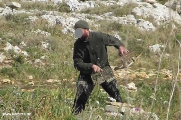 Einer von vielen: Verurteilter Vogelfänger auf Malta