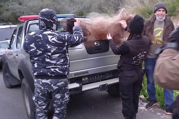 Netze in der Größe von rund 500 m² wurden von den Teams abgebaut. 
