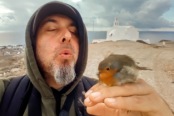 Komitee-Mitglied mit einem Rotkehlchen auf Santorin