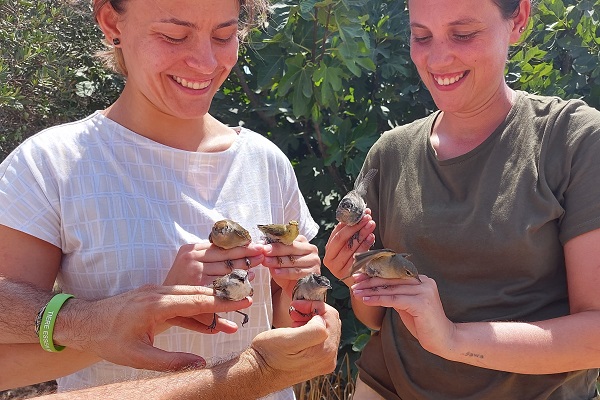 Komitee-Bird Guards mit befreiten Vögeln auf Zypern