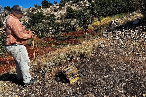 Vogelfänger an seinem Netz.