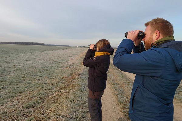 Komitee-Team bei der Suche nach der seltenen Grauammer