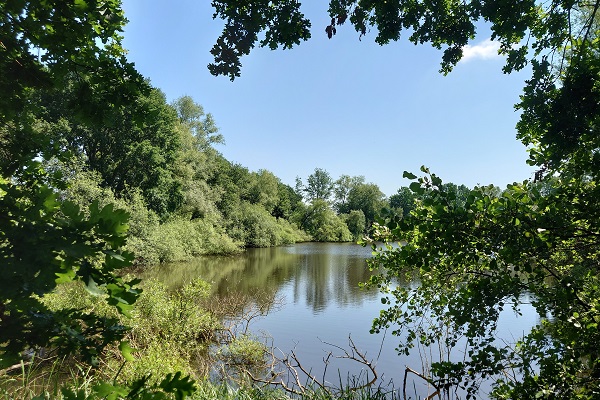 Teich in den Komitee-Schutzgebieten in Schwentinental bei Kiel
