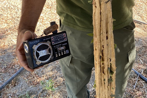 Fast 200 elektronische Lockgeräte wurden nach unseren Hinweisen von der Polizei im Jahr 2024 beschlagnahmt.