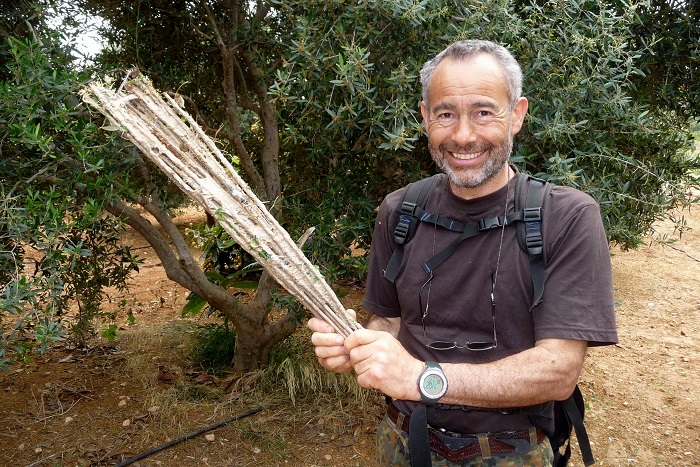 Komitee-Mitglied mit eingsammelten Leimruten