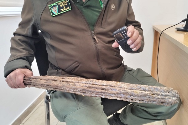 Jagdaufseher mit sichergestellten Leimruten (Zypern)