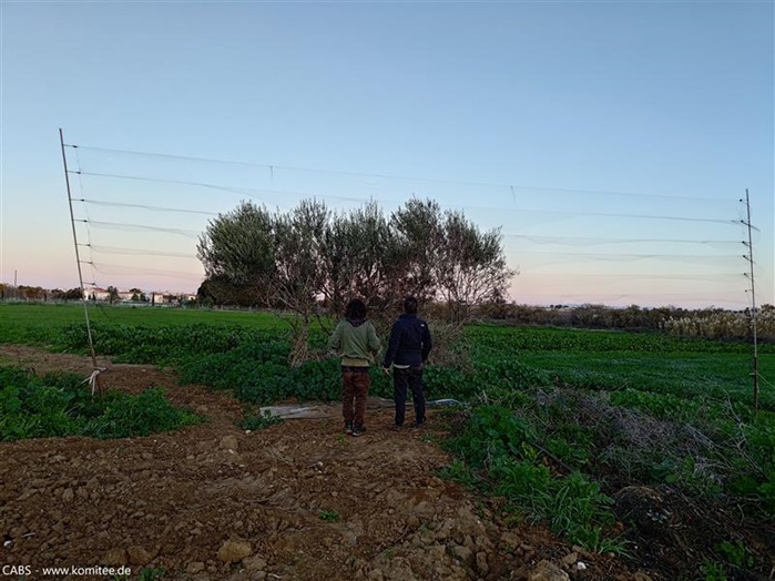 Großes Vogelfangnetz auf Zypern während unseres Wintercamps. 