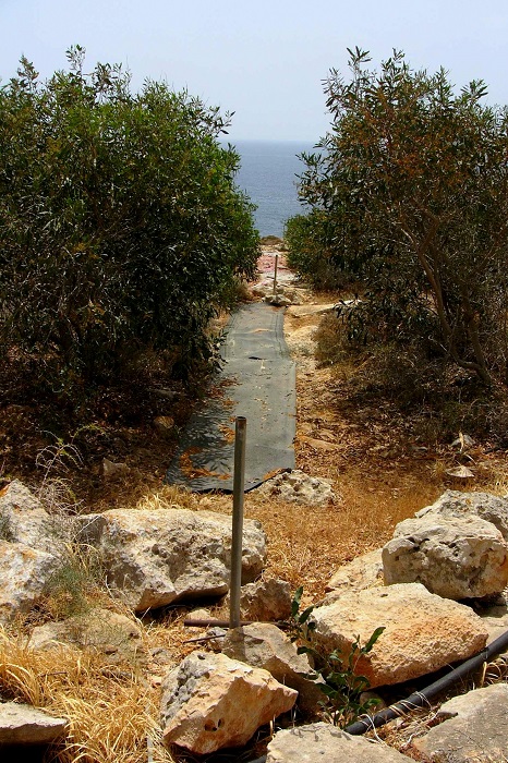 Netzschneise in den Akazienhainen am Cape Pyla