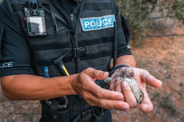 Polizist mit befreiter Mönchsgrasmücke