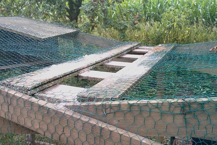 Leiterfallen sehen aus wie große Volieren. Iim Dach befindet sich aber eine - meist leiterförmige - Öffnung.