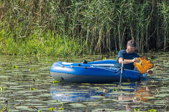 Komitee-Mitarbeiter bringt Nistinseln aus