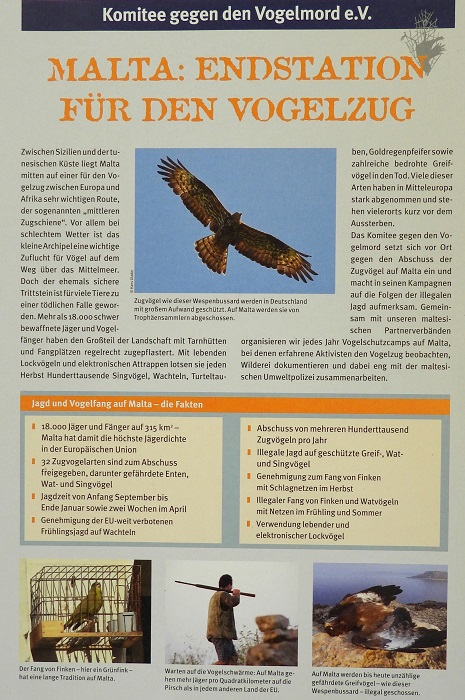 Malta: Endstation für den Vogelzug