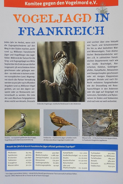 Vogeljagd in Frankreich