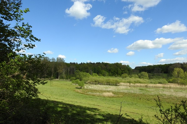 Blick über die Schwentineniederung