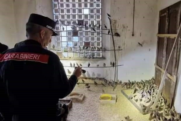 Carabinieri bei der Razzia in Mittelitalien