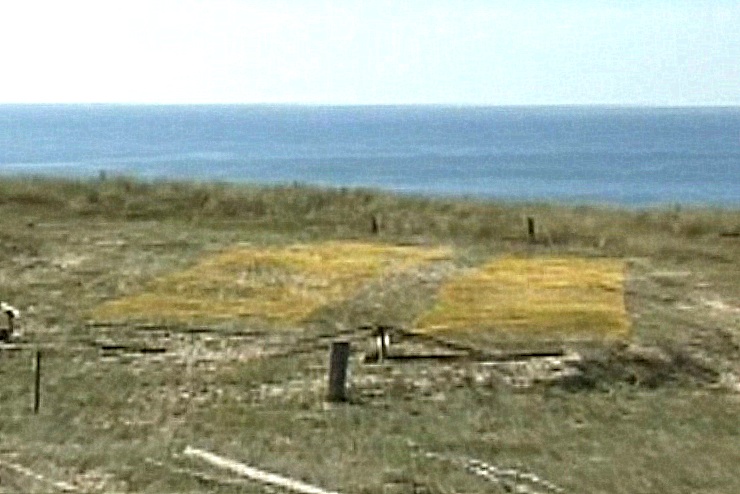 Schlagnetz für Lerchen an der französischen Atlantikküste