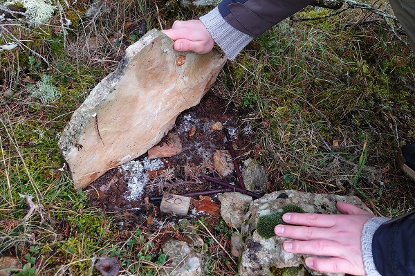 Kontrolle im Januar 2025: Inaktive Steinquetschfalle - die morschen Hölzer sind der ehemalige Fangmechanismus