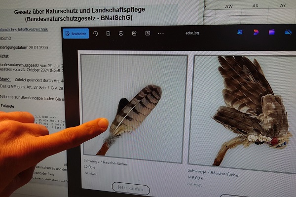 Internetrecherche zu Produkten mit Federn geschützter Vogelarten