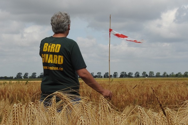Komitee-Mitarbeiter beim Aufbau eines Weidezauns um ein Weihennest