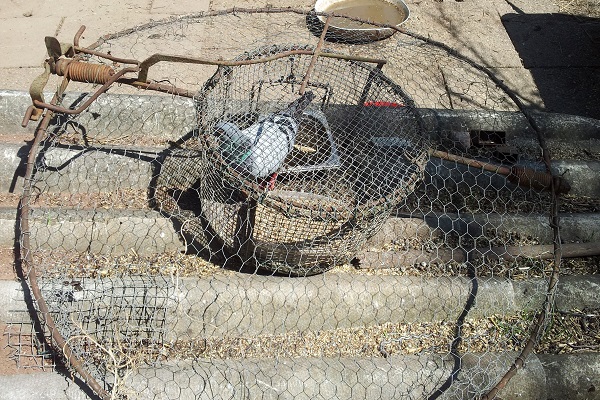 Habichtfangkörbe werden fast ausnahmslos für den Greifvogelfang verwendet. Auf den Seiten von Ebay Deutschland können sie nun nicht mehr verkauft werden. 