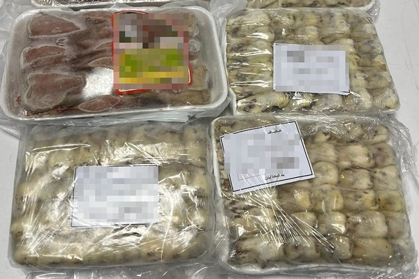 Vom deutschen Zoll am Boodensee sichergestellte gerupfte Grasmücken 