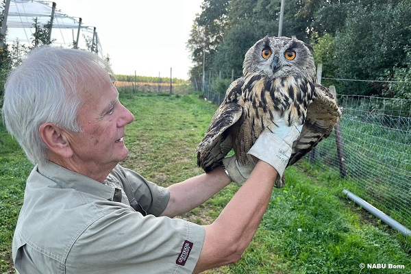 Mitarbeiter des NABU Bonn mit dem in Wachtberg abgeschossenen Uhu