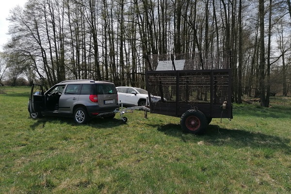 Hier wird die Leiterfalle grade von den Behörden "abgeschleppt". 