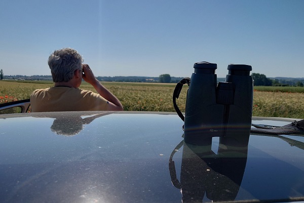 Weihensuche in der Zülpicher Börde.
