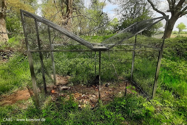 Illegale Vogelfalle im Emsland