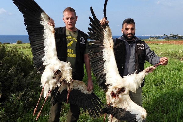 Archivbild von unserem Libanoneinsatz aus dem Frühling 2023.