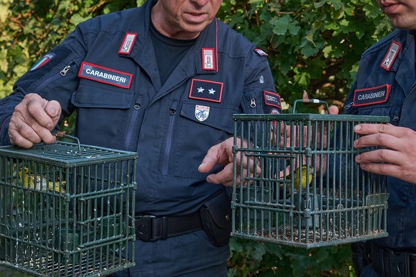 Beamte der Carabinieri mit sichergestellten Erlenzeisigen.