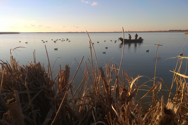 Die Seen und Lagunen rund um Venedig sind neben einem wichtigen Überwinterungsgebiet auch ein beliebtes Jagdgebiet für Wasservogeljäger. 