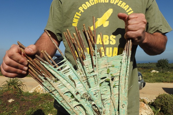 Beschlagnahmte Leimruten im Libanon