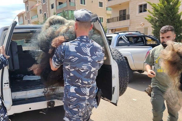 Abtransport der eingesammelten Netze durch die libanesische Polizei (April 2025)