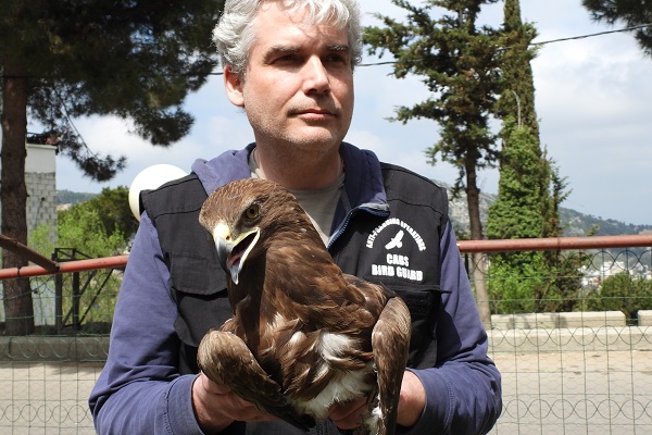 Komitee-Mitarbeiter mit einem beschlagnahmten Schreiadler im Libanon. 