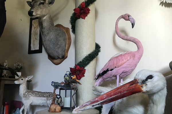 "Atelier" eines Präparators im Libanon 