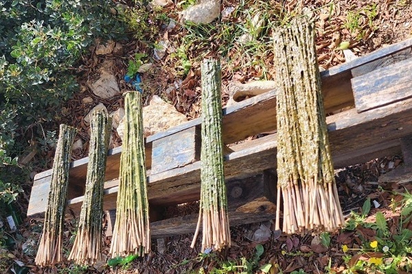 Insgesamt 300 Leimruten wurden bei nur einem Einsatz im Libanon beschlagnahmt.