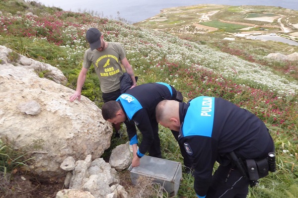 Polizei baut illegale elektronische Lockanlage auf Malta ab