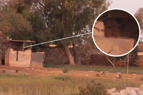 Der hochrangige Jagdfunktionär beim Vogelfang auf Malta. 