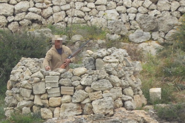 Turteltaubenjäger bei Rabat/Malta am 16.4.2025