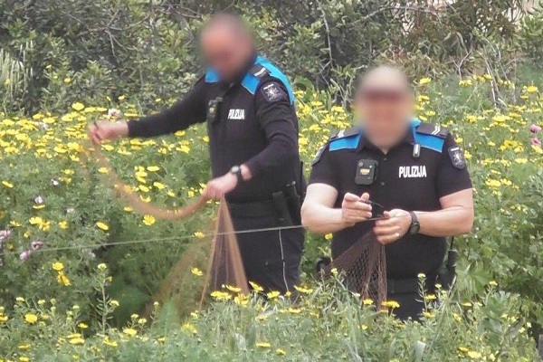 Maltesiche Polizisten beim Abbau eines vom Komitee gegen den Vogelmord gemeldeten Netzes