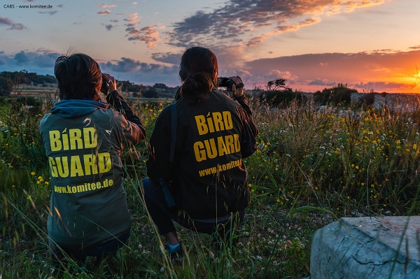 Unsere Bird Guards auf Malta im Frühling 2023.