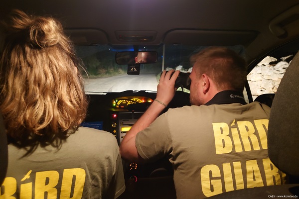 Mitglieder des Komitees gegen den Vogelmord beim Überwachen eines Weihenschlafplatzes auf Malta. 