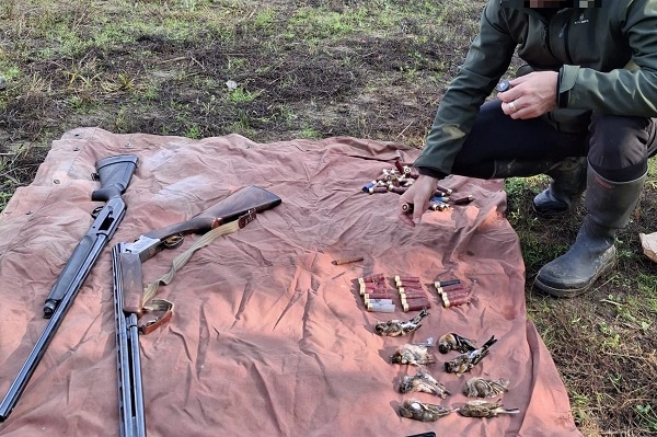 Im Piemont bei Jägern sichergestellte Waffen, Munition und illegal geschossene Singvögel