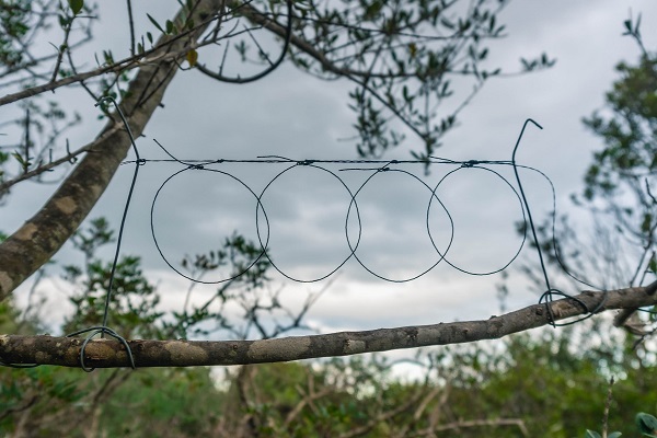 Illegale Schlingen auf Sardinien