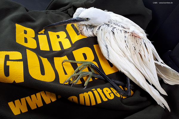 Beide Vorfälle zeigen, dass auf Maltas kleiner Nachbarinsel Gozo die Wilderei weiterhin ein großes Problem darstellt. 