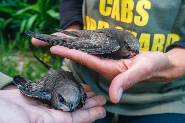 Zwei Segler wurden von unserem Team und der Polizei am Hochsitz gefunden. 