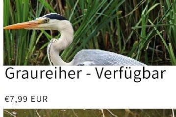 Illegales Angebot im Internet: Graureiher dürfen in Deutschland nicht verkauft werden, selbst wenn sie legal geschossen sind