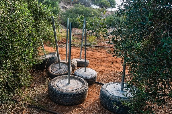 In alte Autoreifen werden auf Zypern Halterungen für Fangnetze mit Beton gegossen. 